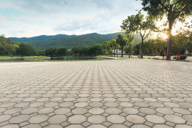 Best Concrete Paver Driveway  in South Tucson, AZ