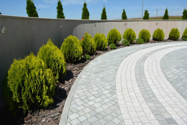 Best Residential Driveway Paver Services  in South Tucson, AZ